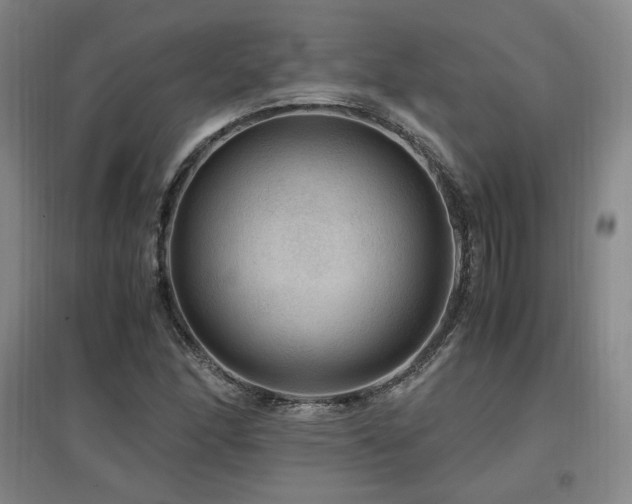 X0000097461166200802221206