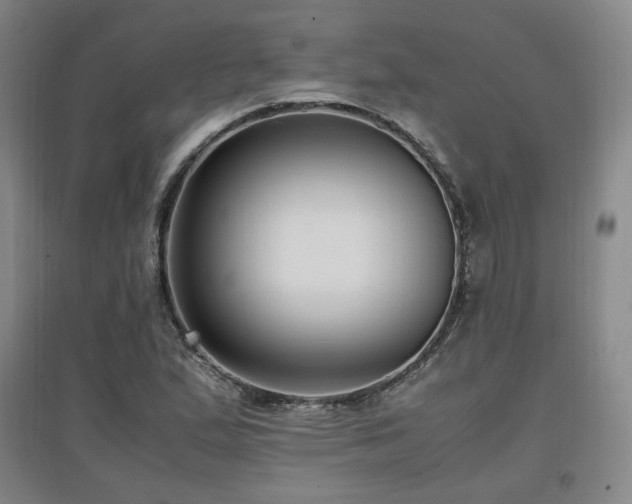 X0000097461167200802221206