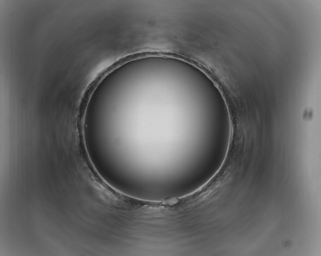 X0000097461168200802221206