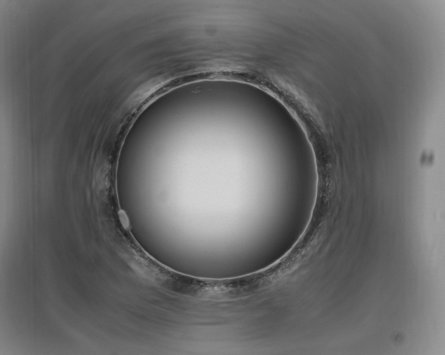 X0000097461169200802221206