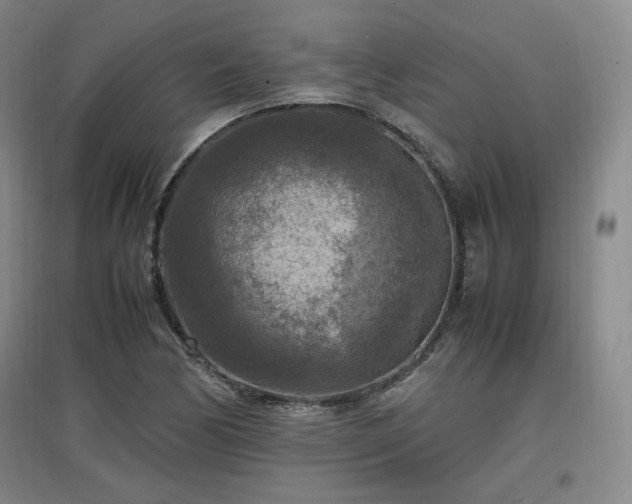 X0000097461170200802221206