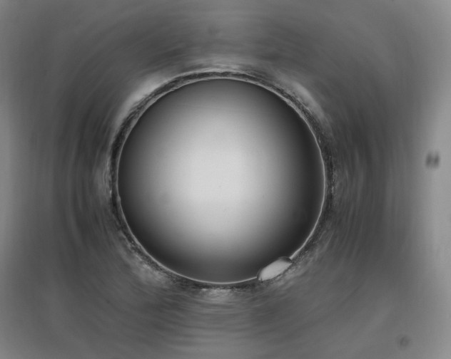 X0000097461172200802221206
