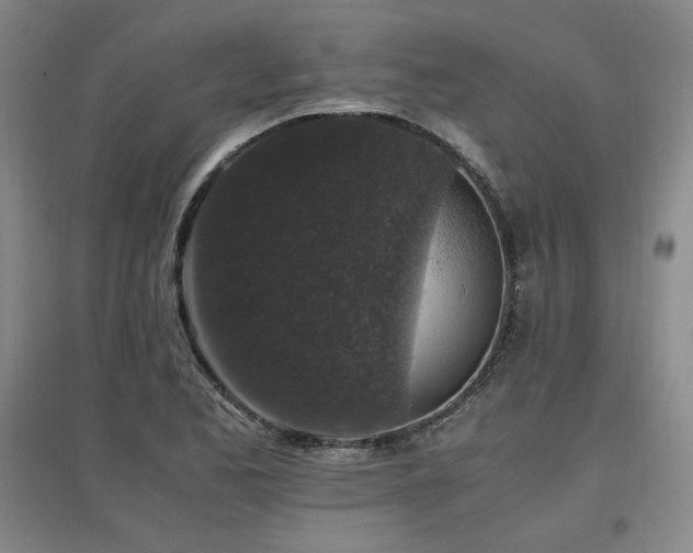 X0000097461173200802221206