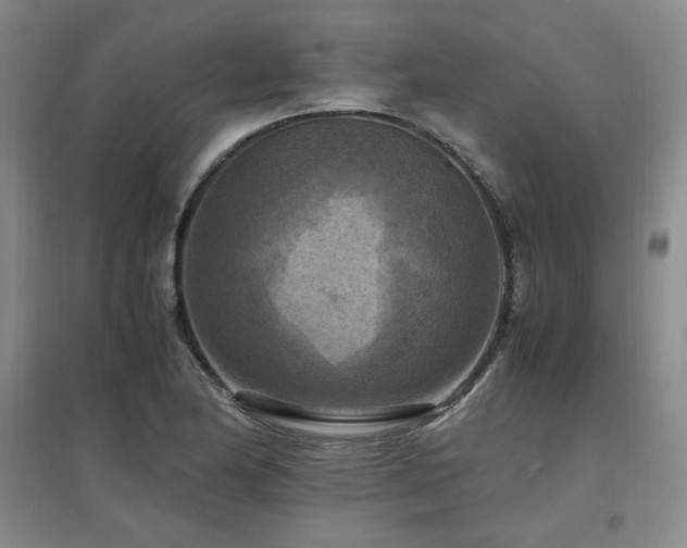 X0000097461174200802221206