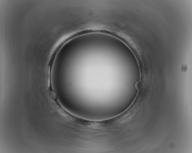 X0000097461175200802221206