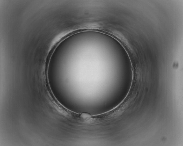 X0000097461176200802221206