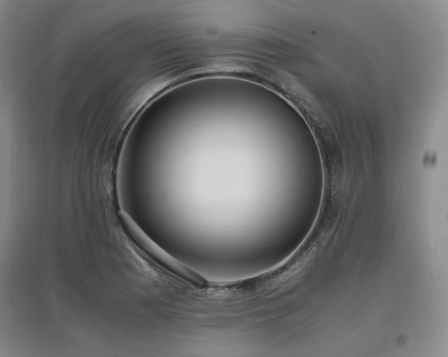 X0000097461177200802221206