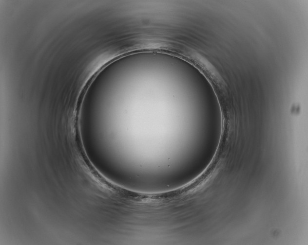 X0000097461178200802221206