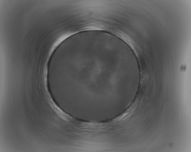 X0000097461179200802221205