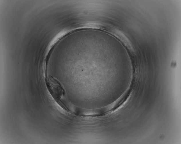 X0000097461180200802221205