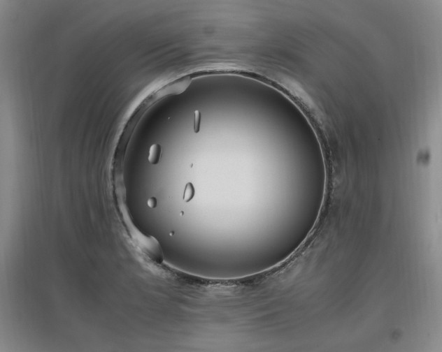 X0000097461181200802221205