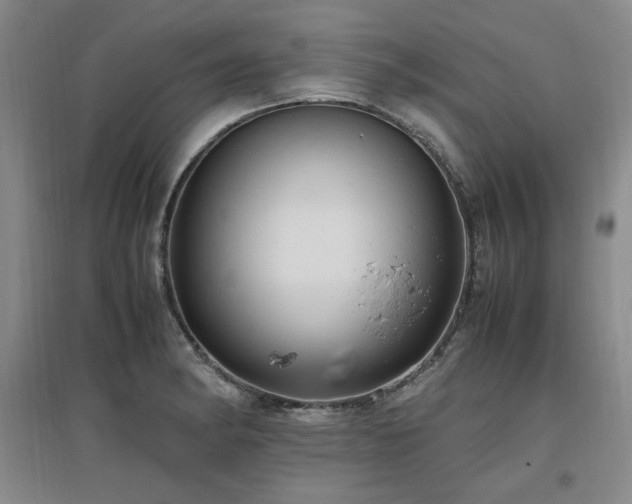 X0000097461182200802221205