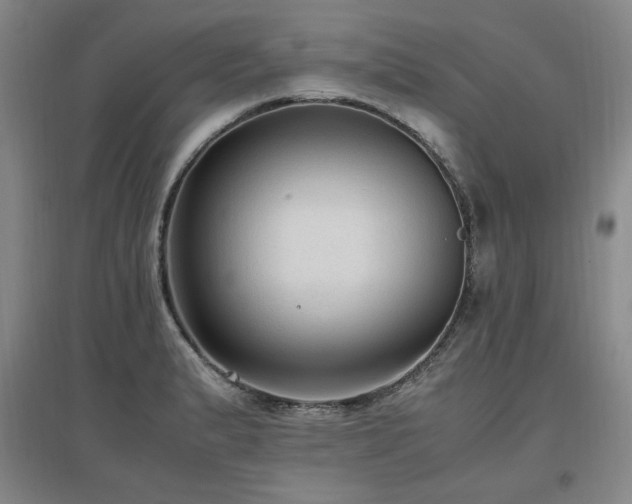 X0000097461183200802221205