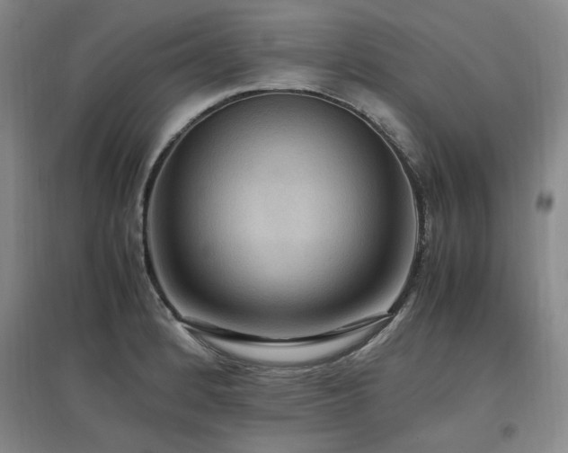 X0000097461184200802221205