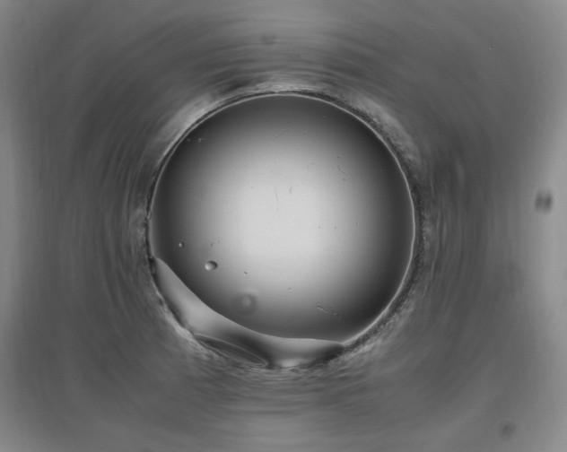 X0000097461185200802221205