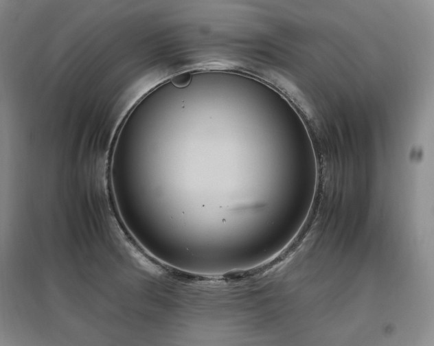 X0000097461186200802221205
