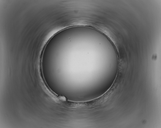 X0000097461187200802221205