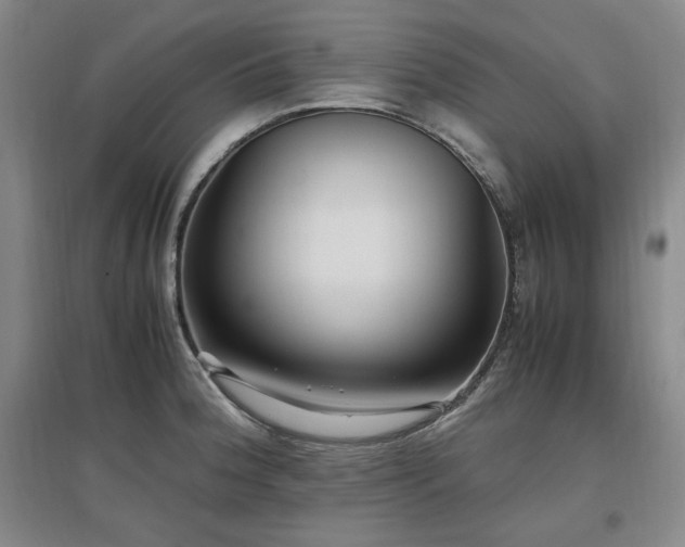 X0000097461188200802221205