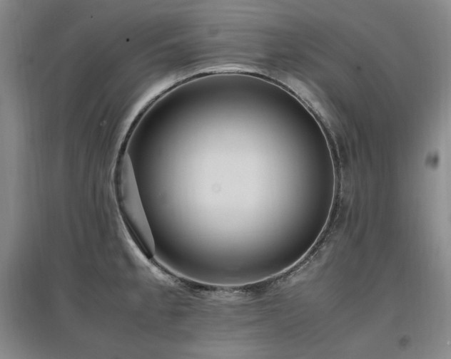 X0000097461189200802221205