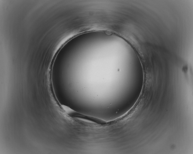 X0000097461190200802221205