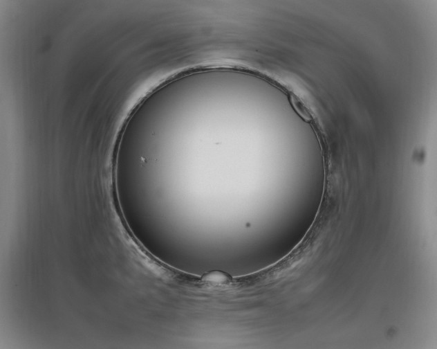 X0000097461191200802221205