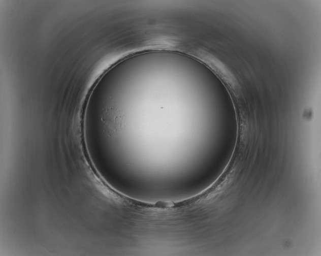 X0000097461192200802221205