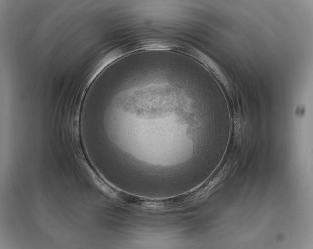 X0000097461194200802221205
