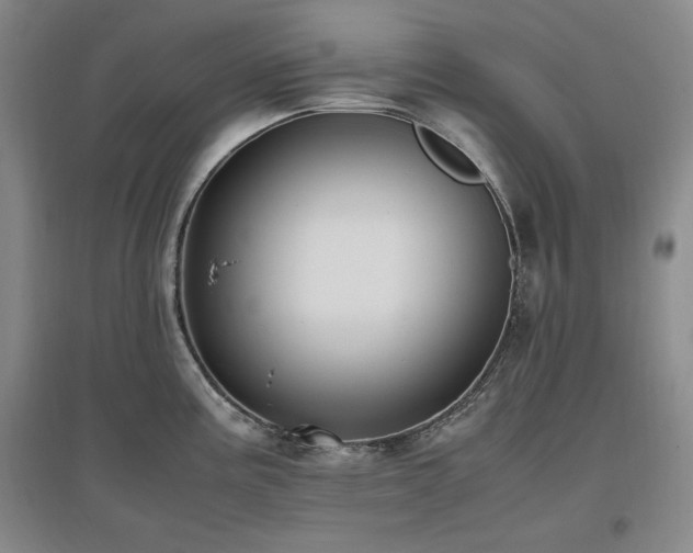 X0000097461195200802221205