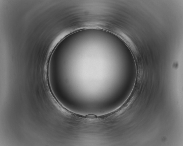X0000097461196200802221205