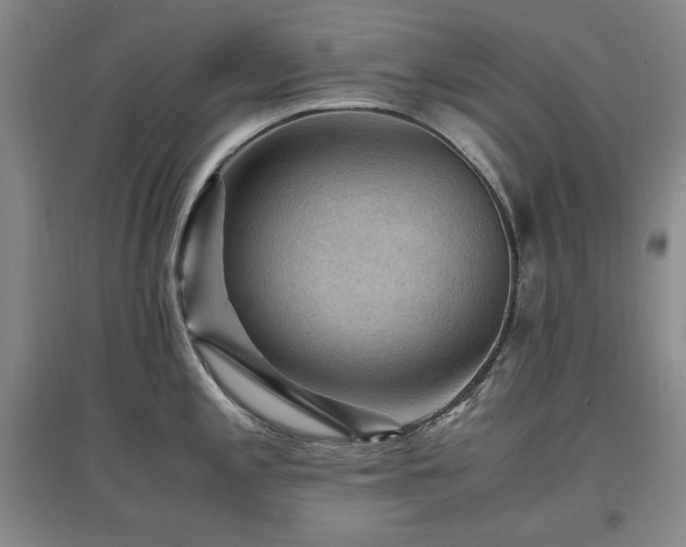 X0000097461197200802221205
