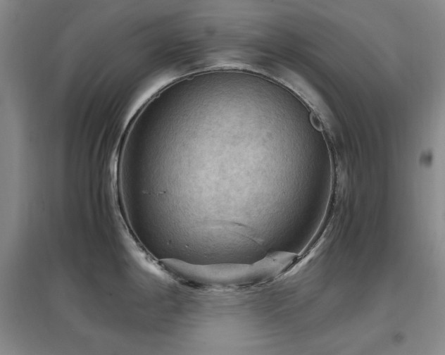 X0000097461198200802221205