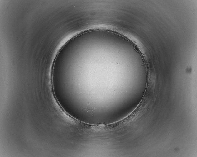 X0000097461199200802221205