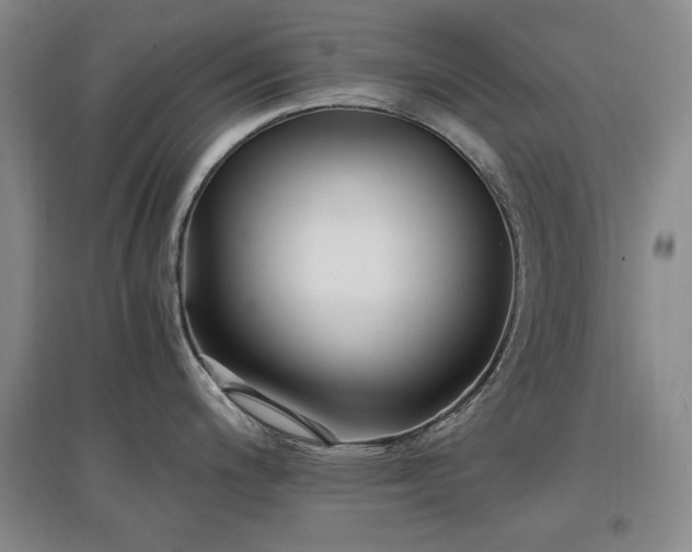 X0000097461200200802221205
