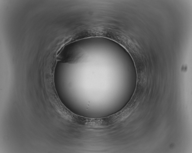 X0000097461201200802221204
