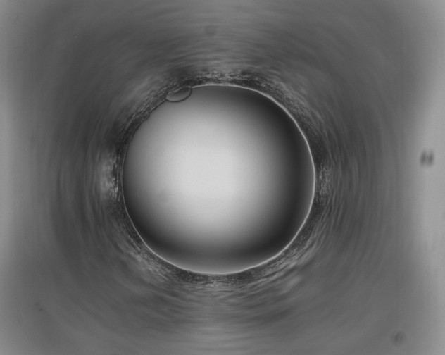 X0000097461202200802221204