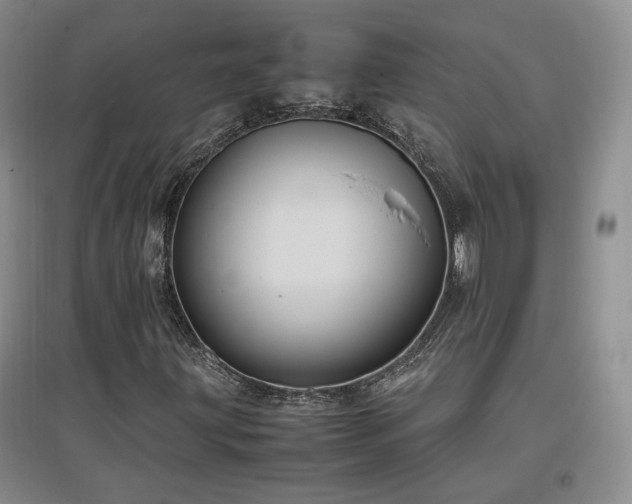 X0000097461203200802221204