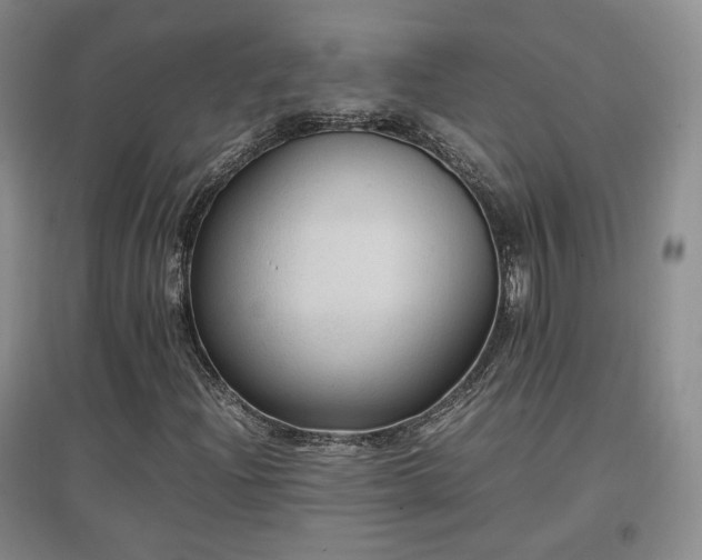 X0000097461204200802221204