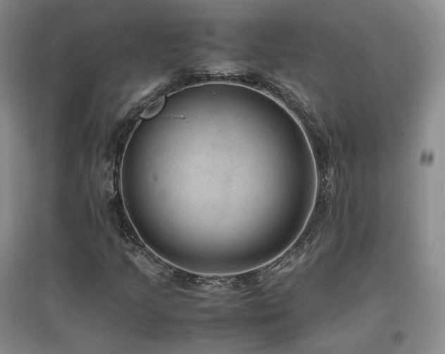 X0000097461205200802221204