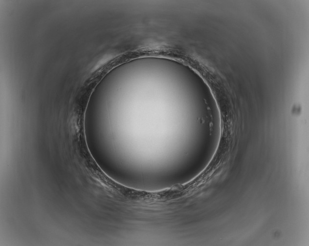X0000097461206200802221204