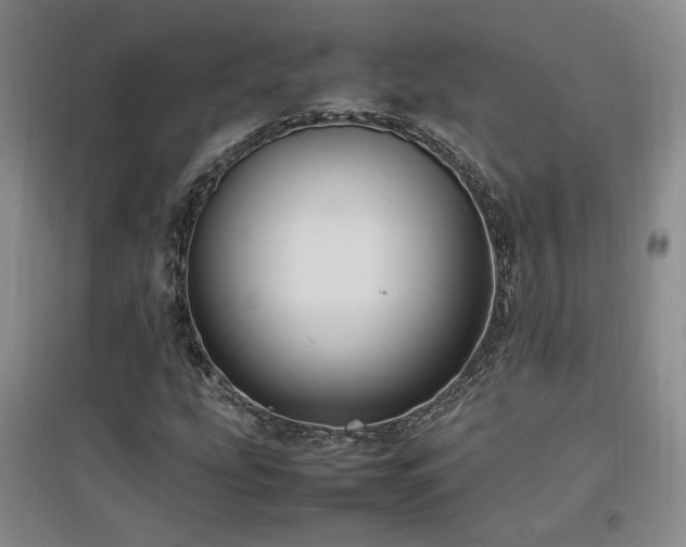 X0000097461207200802221204