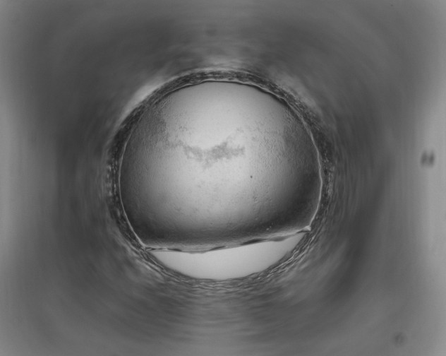 X0000097461208200802221204