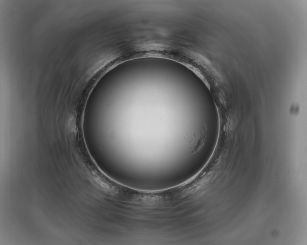 X0000097461209200802221204