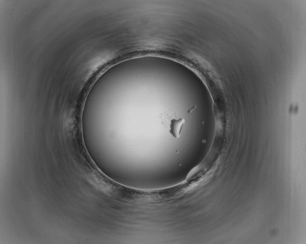 X0000097461210200802221204