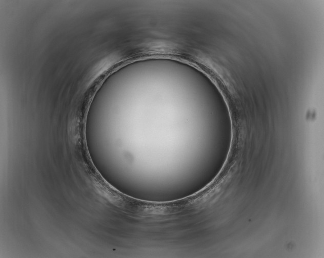 X0000097461211200802221204