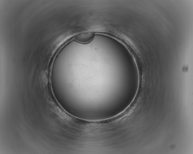 X0000097461212200802221205