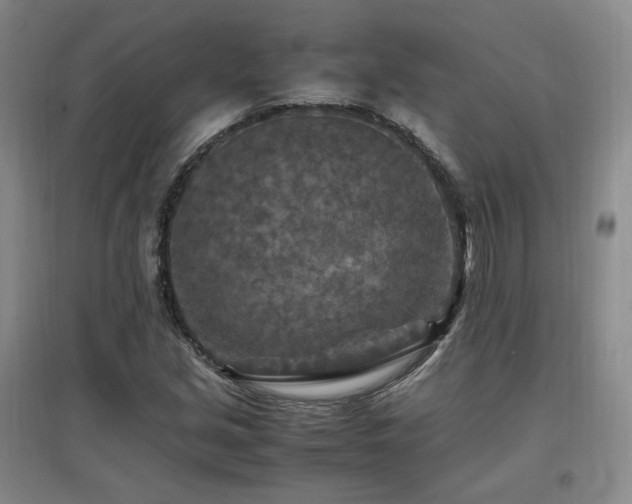 X0000097461213200802221205