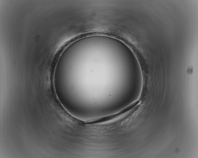 X0000097461214200802221205