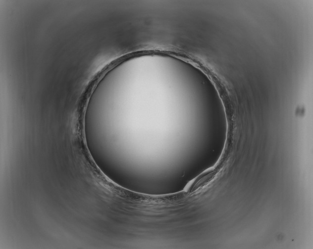 X0000097461215200802221205