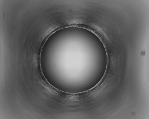 X0000097461217200802221205
