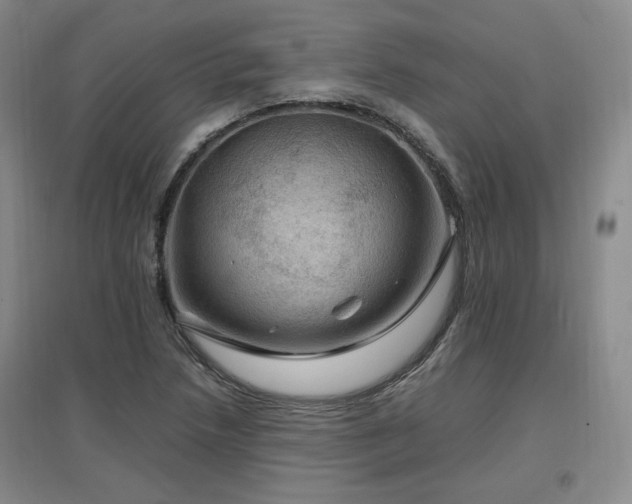 X0000097461218200802221205